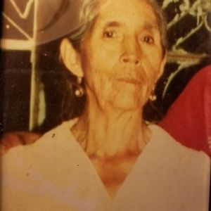 Meet your Posher, Sammy